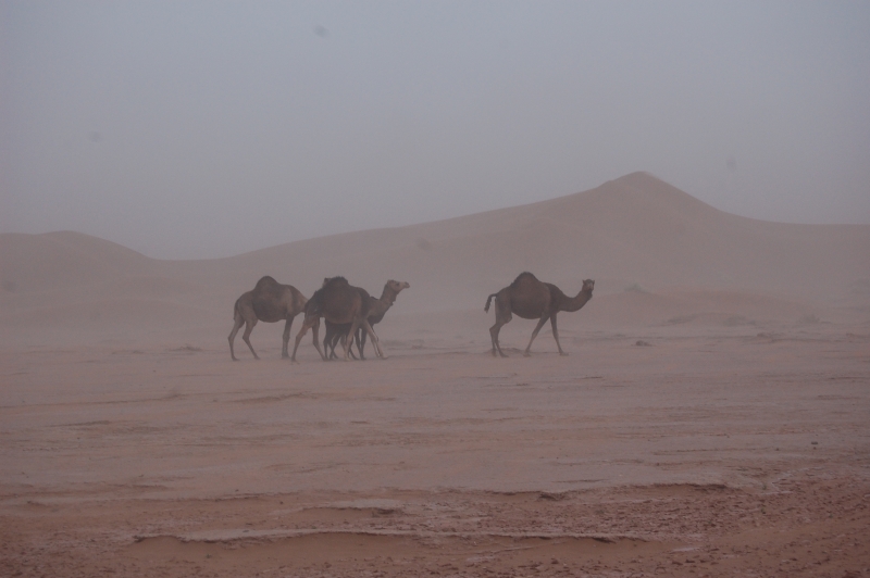 viel, viel Sand ....    überall    :-)